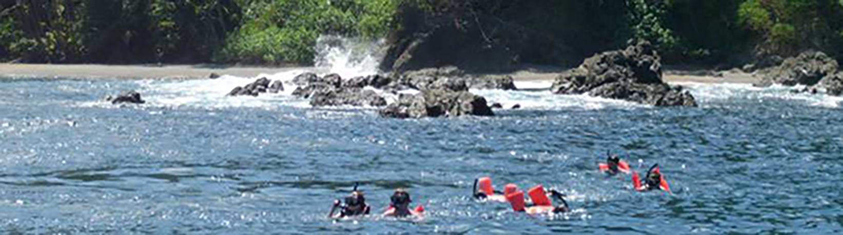 Caño Island Biological Reserve Snorkel Tour 1