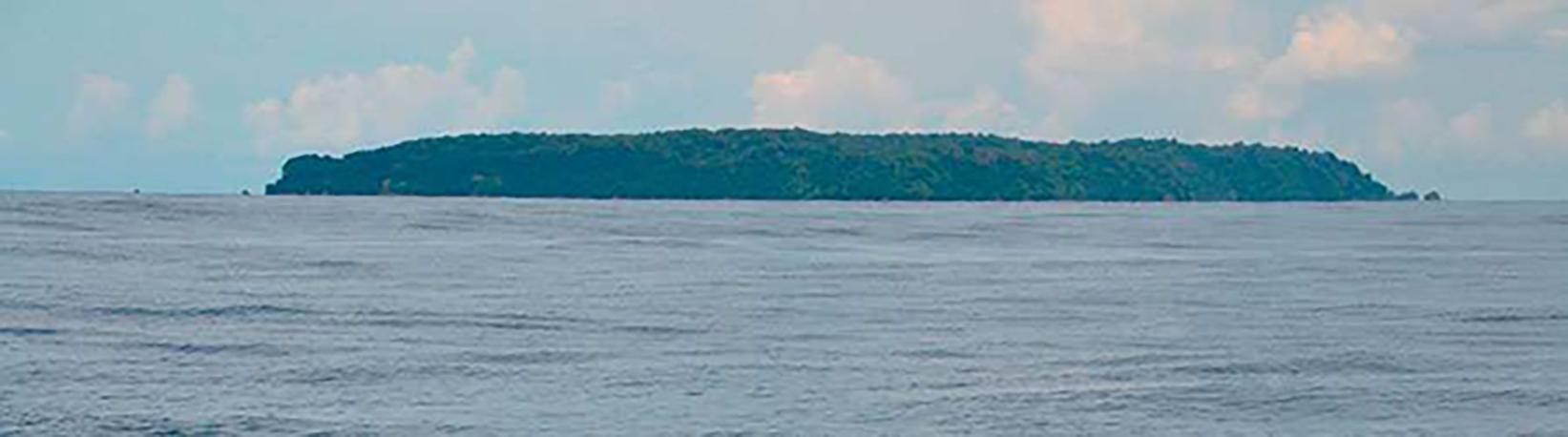 Caño Island Biological Reserve Snorkel Tour 4