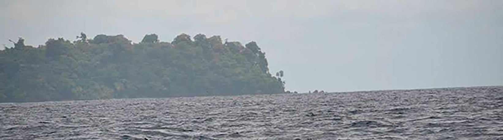 Caño Island Biological Reserve Snorkel Tour 6