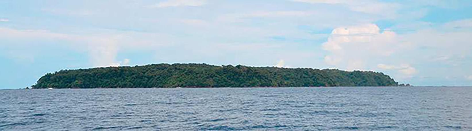 Caño Island Biological Reserve Snorkel Tour 7