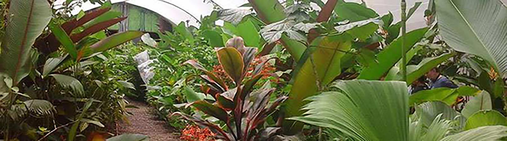 Caño Island & Drake Bay Butterfly Garden Combo Tour 1