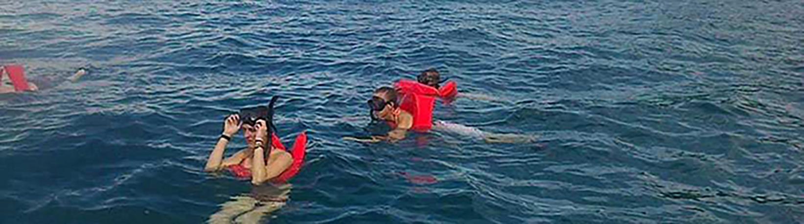 Caño Island & Drake Bay Butterfly Garden Combo Tour 3