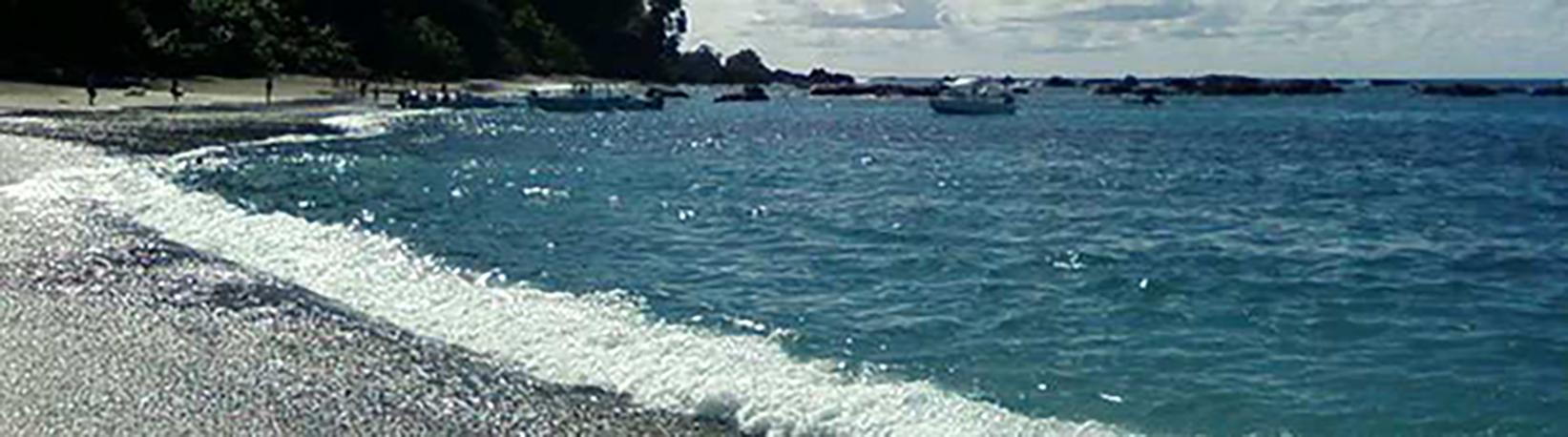 Caño Island & Drake Bay Butterfly Garden Combo Tour 8