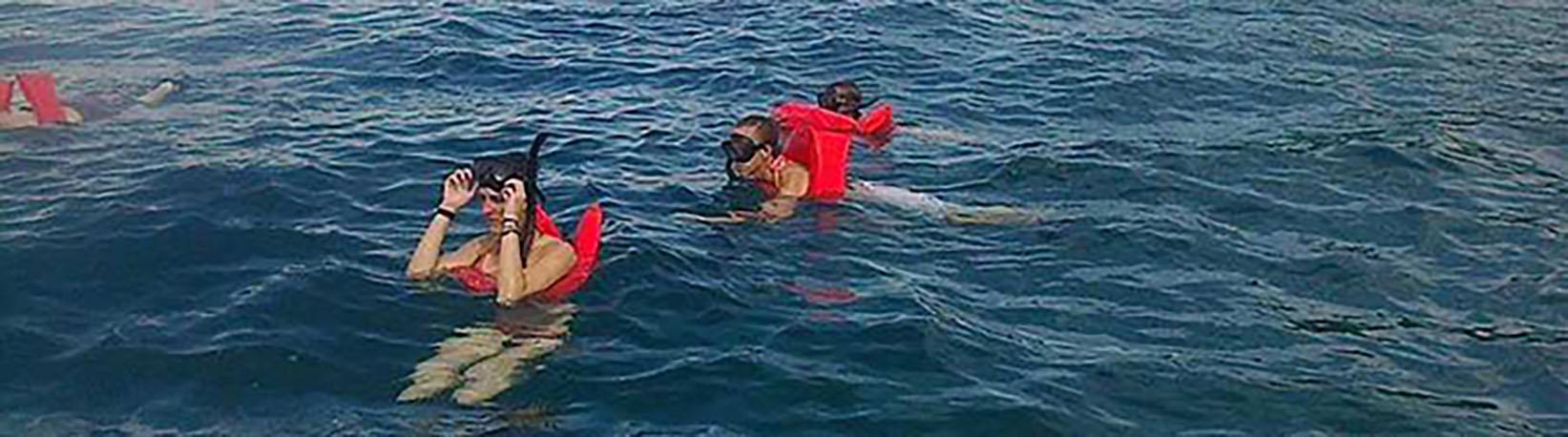 Corcovado Hike and Caño Island Snorkel Super Combo 6