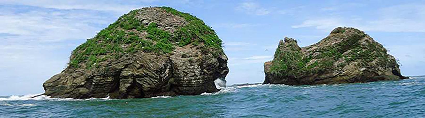 Marino Ballena Snorkel Express Tour 8