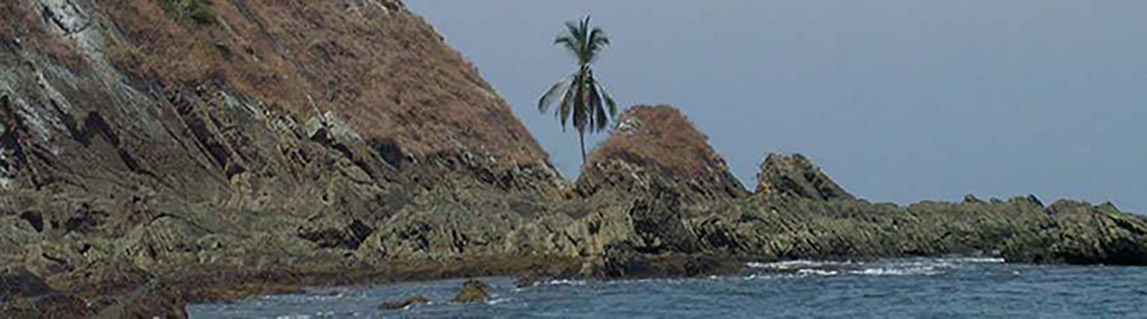 Marino Ballena Whale Watching & Wild Dolphin Combo Tour 3