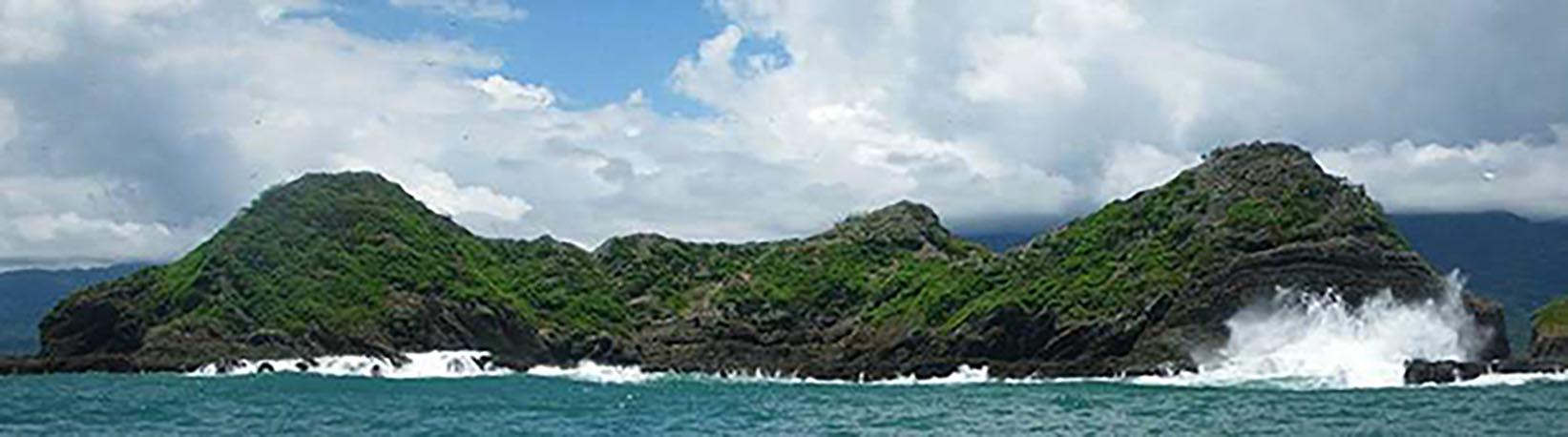 Marino Ballena Whale Watching & Wild Dolphin Combo Tour 7