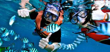 Caño Island Biological Reserve Snorkel Tour