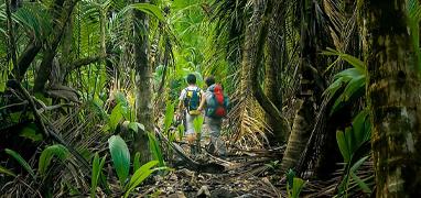 Corcovado National Park Tour