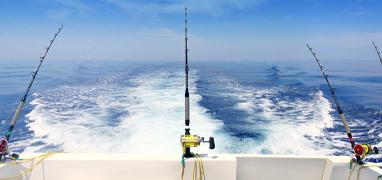 33´ Private Sport Fishing Charter