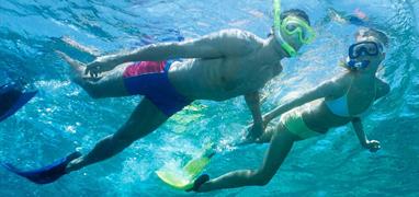 Marino Ballena Snorkel Express Tour