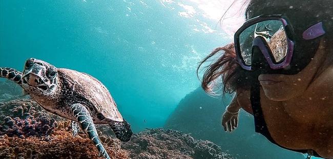 Corcovado Hike and Caño Island Snorkel Super Combo