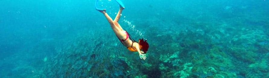 Caño Island Biological Reserve Snorkel Tour