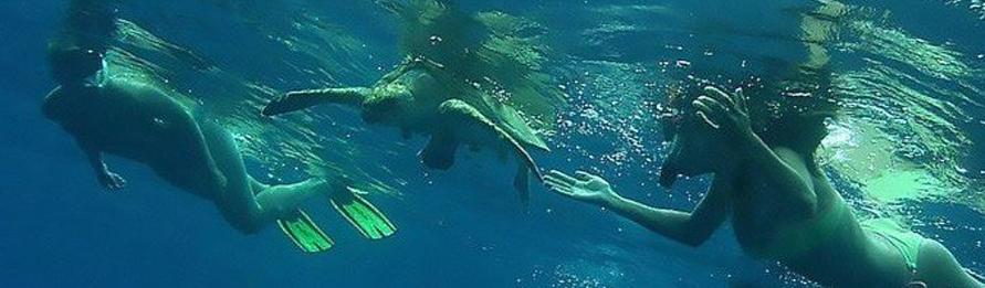 Marino Ballena Snorkel Express Tour